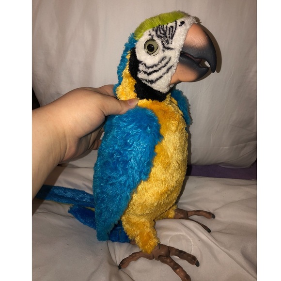 squawkers mccaw price